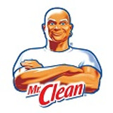 Mr Clean Professional